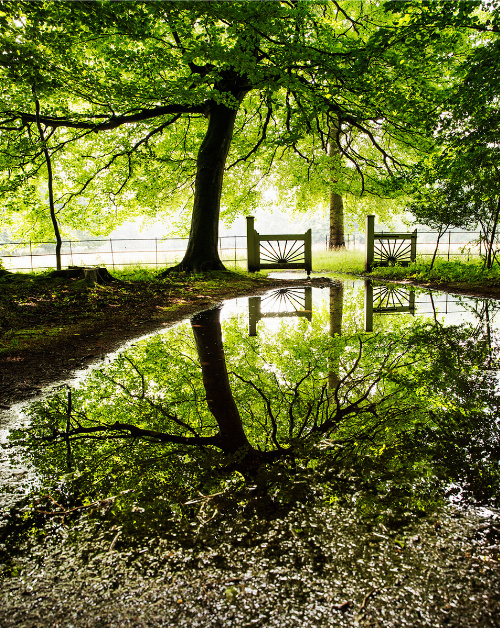 Jurriaan Hoefsmit foto151